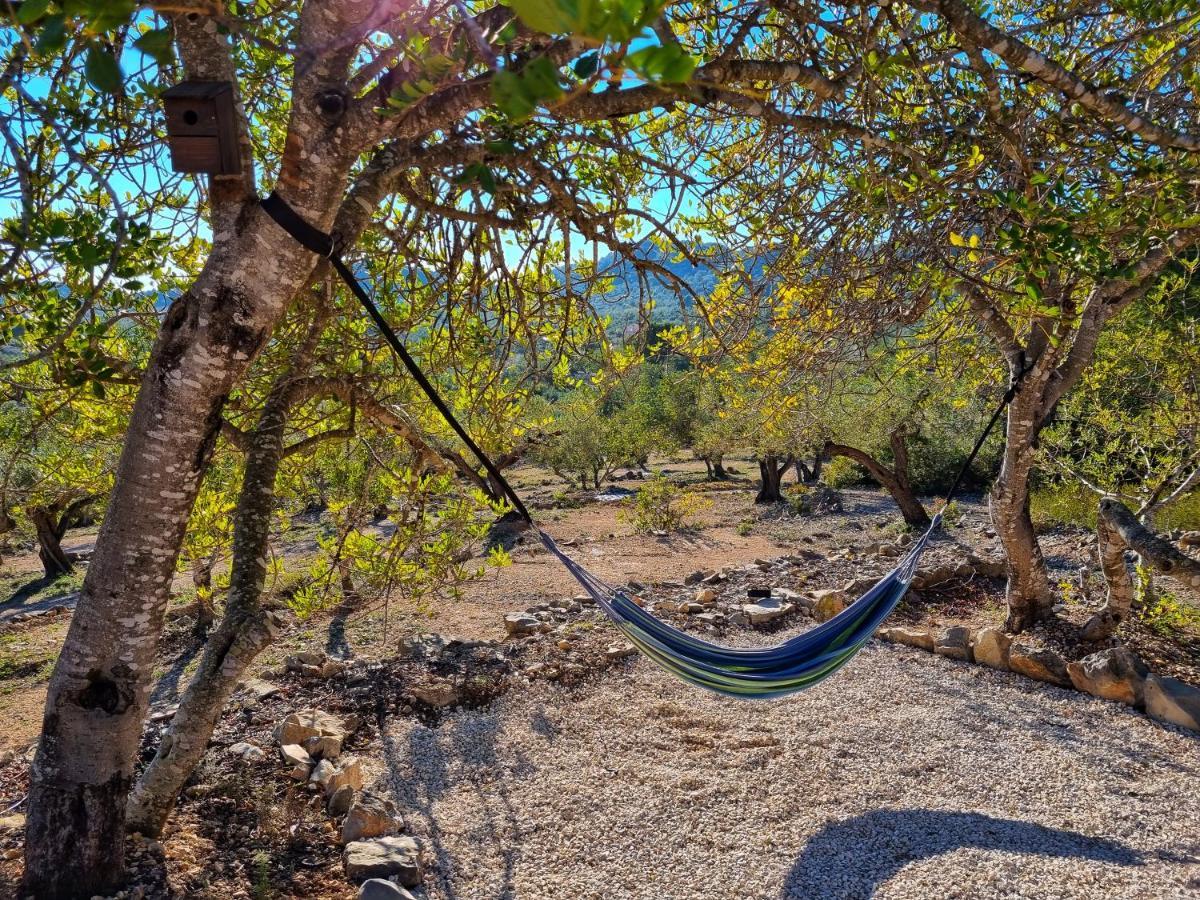 Finca Llambrich L'Ametlla de Mar Buitenkant foto