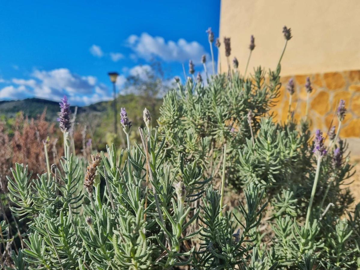 Finca Llambrich L'Ametlla de Mar Buitenkant foto